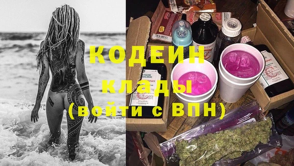 apvp Коряжма